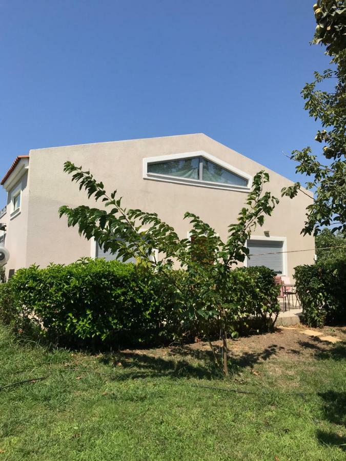 הוילה סקאלה ארסו Perivoli House B מראה חיצוני תמונה